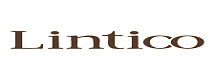 lintico-codes-2.png